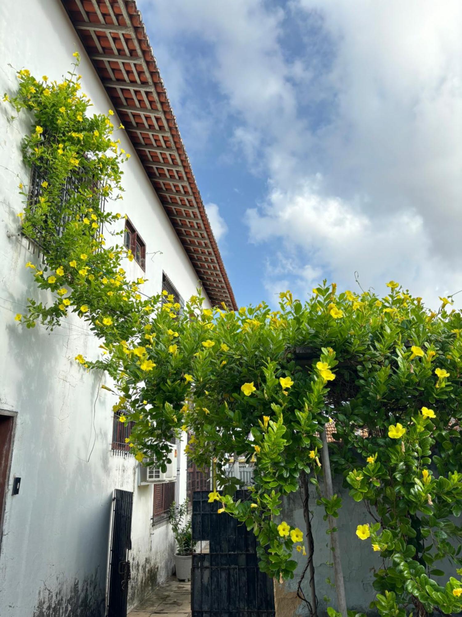 Parnaiba Hostel מראה חיצוני תמונה